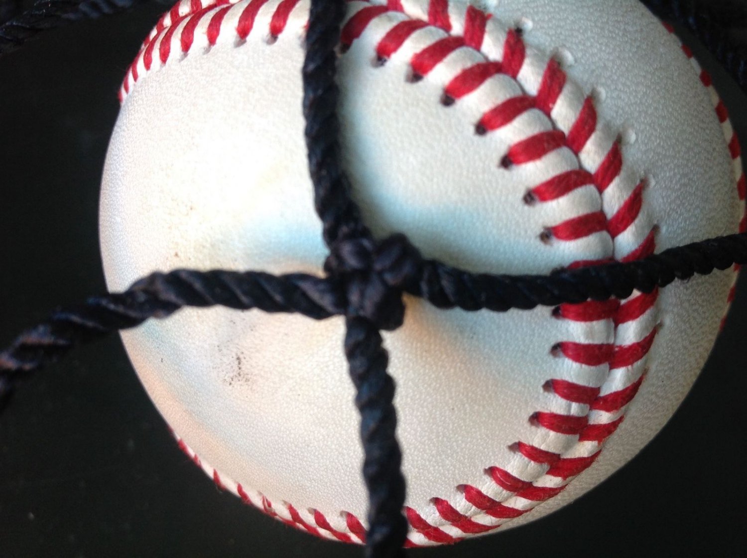 Baseball netting 36 panel 8X8 ft. barrier nylon knotted net square