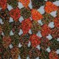 KNC Coming Home "Martha Stewart" Poncho Harvest Sz S-M