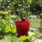 Leather Keychain Pig Red - FREE Shipping Wordlwide - Handmade Leather Pig Bag Charm