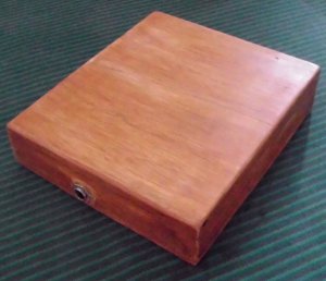 Mid-Z Acoustic Stompbox