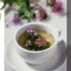 Wellness Shoppe