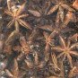 Anise Star Pods