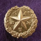 TEXAS KEPI INSIGNIA