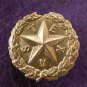 TEXAS KEPI INSIGNIA