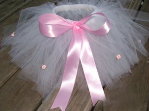 Princess Tutu