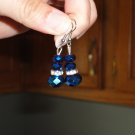 Blue Earrings