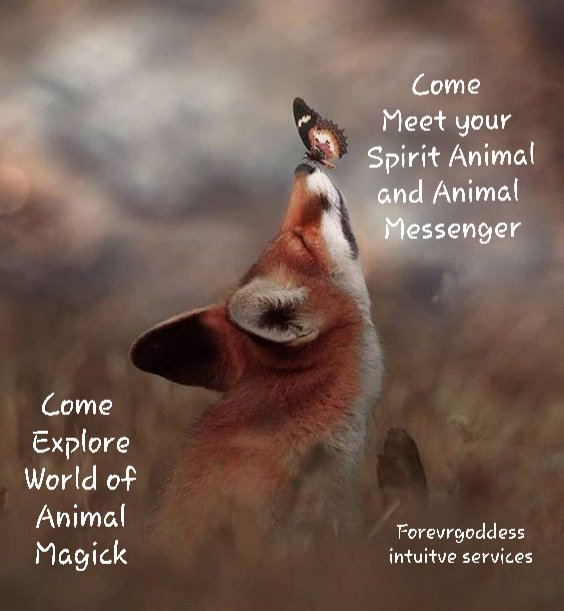 Come meet you Spirit animal and animal messenger 2