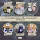 )0( Aromatherapy Gifts, Blends seasonal & More )0(