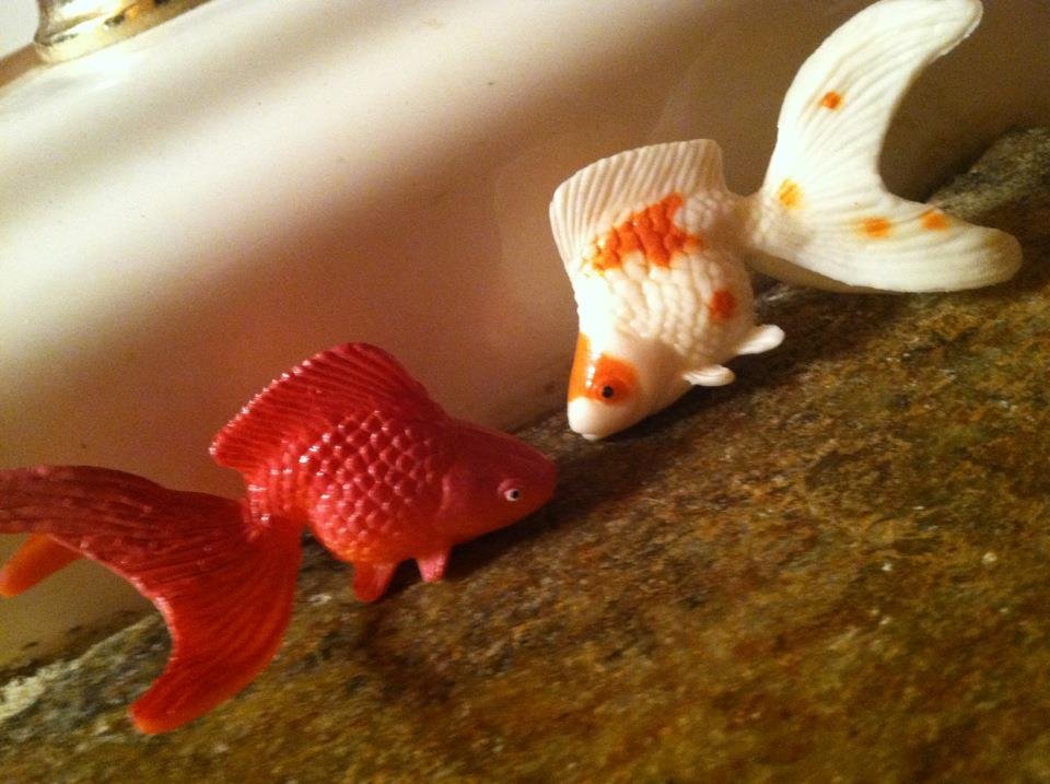 mythic goldfish toy