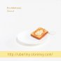 Rare Kawaii Bread Toast Squishy - Japanese San-x
