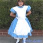 CUSTOM MADE ALICE IN WONDERLAND Blue and White Pinafore Girls CHILD COSTUME 4-10