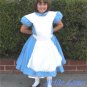 CUSTOM MADE ALICE IN WONDERLAND Blue and White Pinafore Girls CHILD COSTUME 4-10