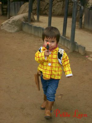 Custom Made Woody Costume From Toy Story Child Sizes 1-10 Cowboy child costume