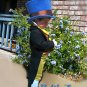 Jiminy Cricket Costume from Pinocchio with Wellington Style Top Hat green breeches tuxedo coat