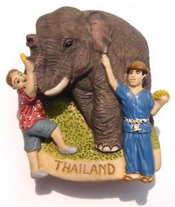 Tourists feeding Elephant Quality 3D fridge Magnet