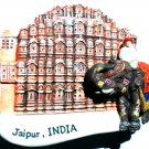 Hawa Mahal Jaipur Pink City INDIA High Quality Resin 3D fridge Magnet Hand Made Craft.