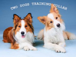 TWO Dog Remote Training Collar Electronic Trainer Obedience Anti Bark Collar TWO DOG