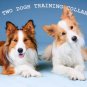 TWO Dog Remote Training Collar Electronic Trainer Obedience Anti Bark Collar TWO DOG