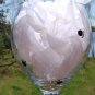 Purrfectly Relaxed Cat Hand Painted Wine Glass