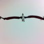 Girl on Fire bracelet