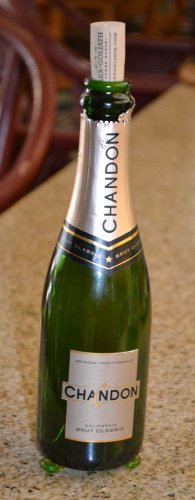 Wine Bottle Fly Trap - Chandon Brut Label