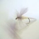 PALE EVENING DUN SIZE # 18  DRY FLY FISHING   1 DOZEN