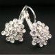 Beauty - accessory - earrings