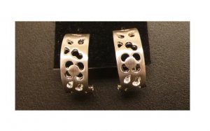 Elegant earrings
