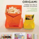 Practical Origami: Folding your way to Everyday Accessories [Paperback]