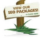 SEO Silver Package