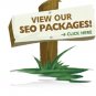 SEO Silver Package