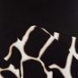 graceful black with white color & party and evening knee height bandage dress