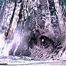 Water World