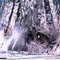 Water World