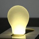 LED Pocket Lamp. LED Light Bulb