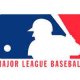 MLB Pet Gear