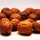20 Walnut Shell Beads - Tan/Brown - Free Shipping!