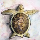 Sea Turtle