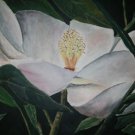 magnolia flower oil painting art print