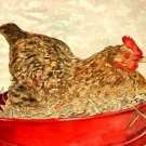 hen painting folk art print