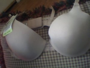 B Tempted bra