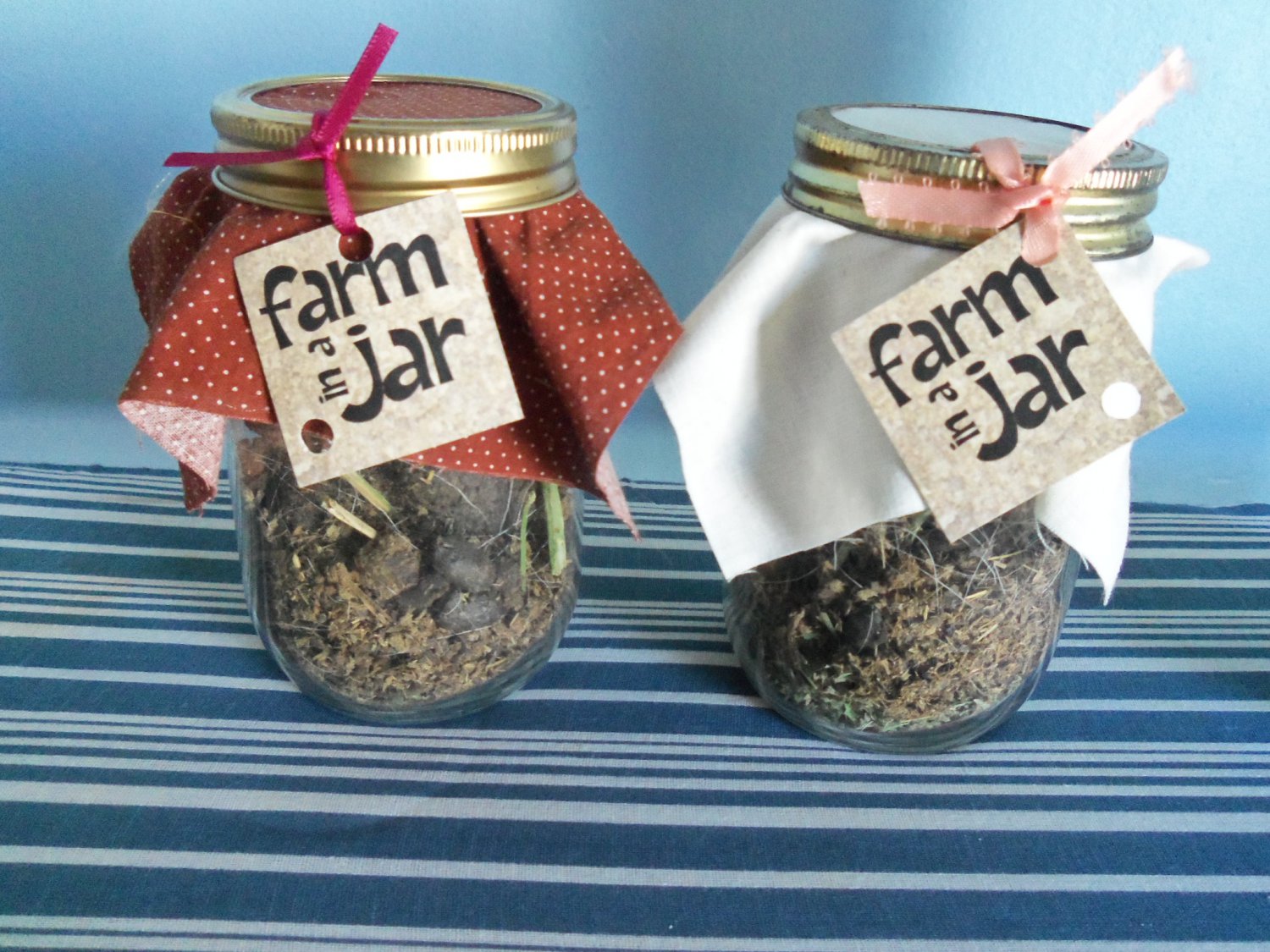 FARM IN A JAR