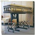 BACK SAVER CASKET LIFTER