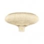 Regency Torchiere Lamp