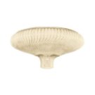 Bostonian Torchiere Lamp