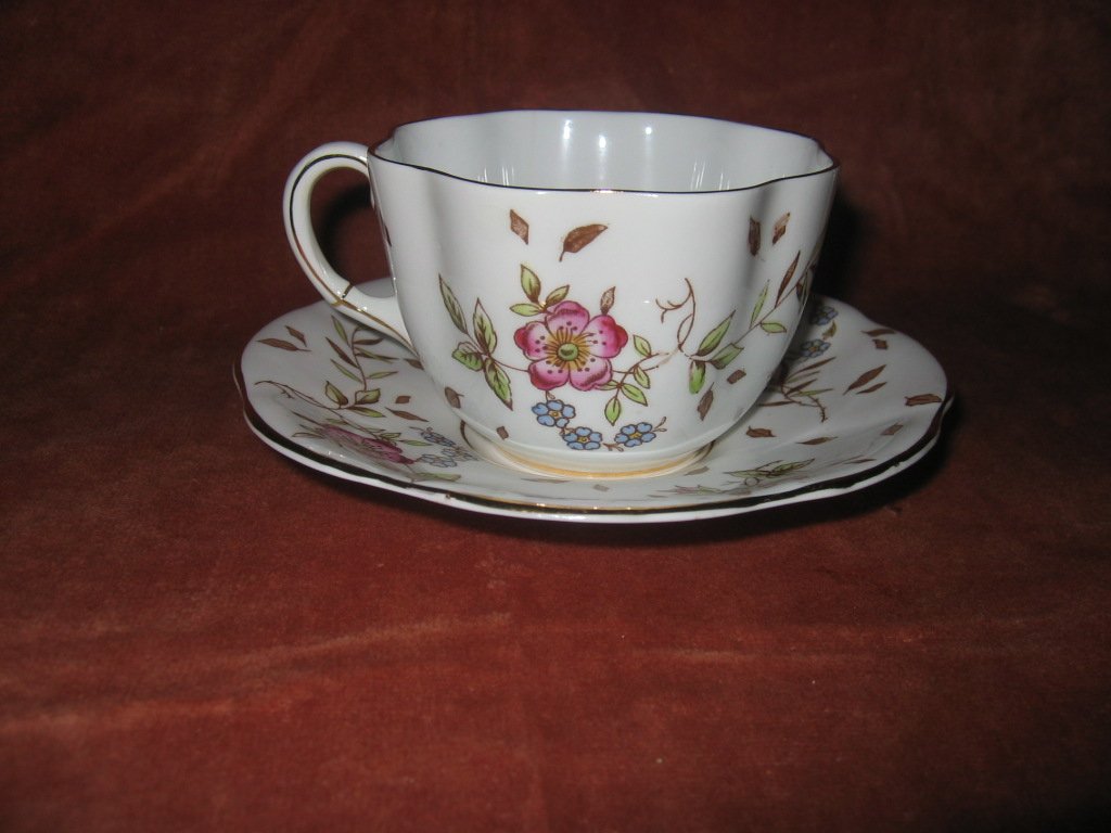 Taylor & Kent Longton Bone China Teacup and Saucer Wild Roses and flowers