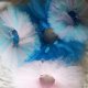 Toodleloos Tutus