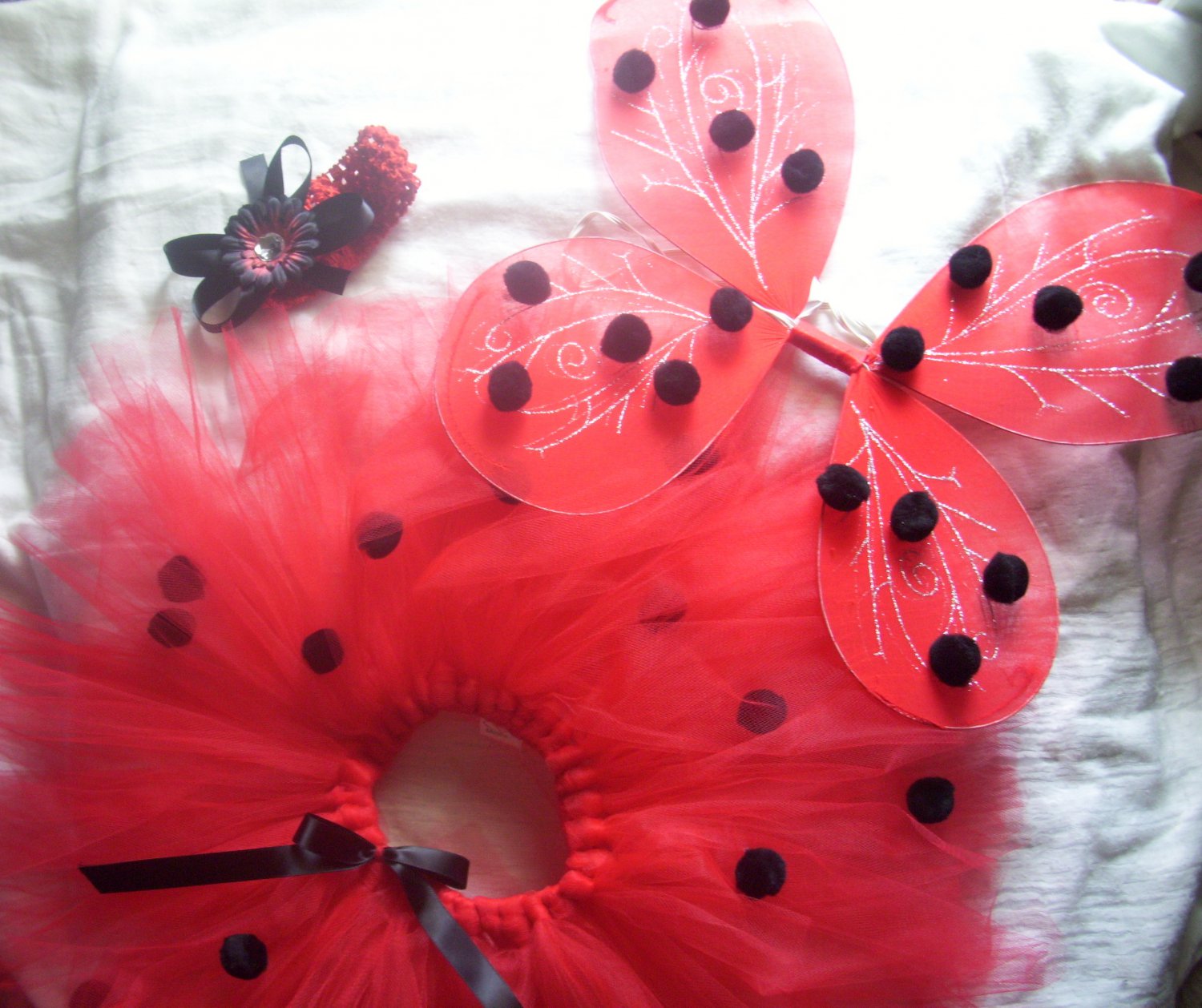Lady Bug Tutu With Accessories