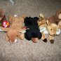 Set of 5 "Woods Habitat" Beenie Babies