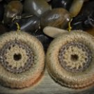 Gold & Beige Single Crochet Earrings